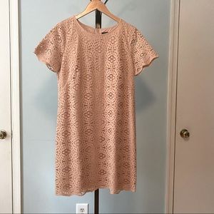 Ann Taylor cotton lace (lined) sheath dress, 12P